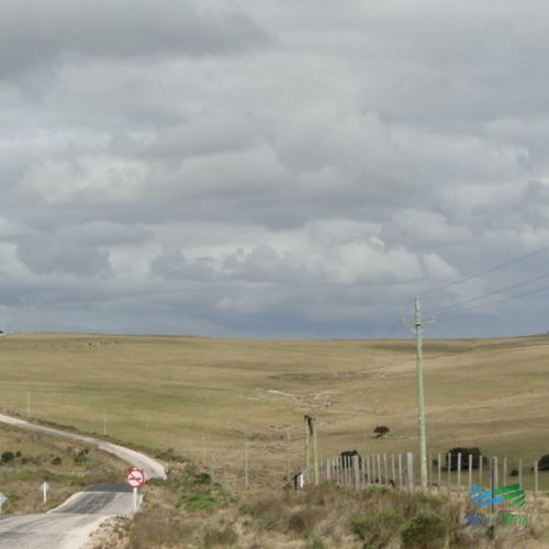 Imagen 9 de 12 de 193 Has Sobre Ruta 12, Arroyo, Monte Nativo A 15 Kms De P. Edén - Zona Rural