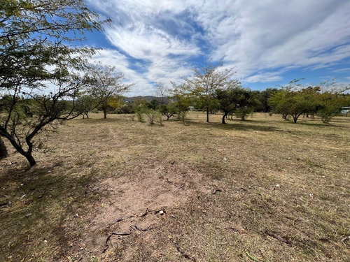 Imagen 16 de 22 de Terrenos De 1000m2 En Potrero De Garay