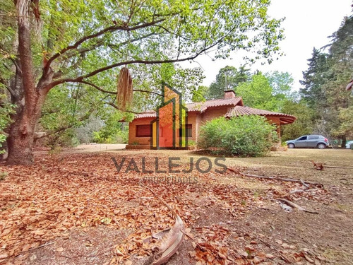 Imagen 8 de 23 de Casa Quinta 4 Amb| Chalet Colonial, Galería, Piscina | 2000 M2 De Parque Arbolado