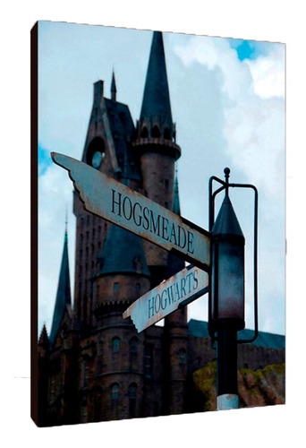 Cuadros Poster Harry Potter Lugares S 15x20 (gmg (7))
