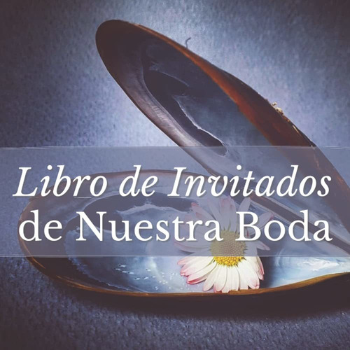 Libro  De Invitados De Boda: Limar-es-009 Recuerdos Y Lhh