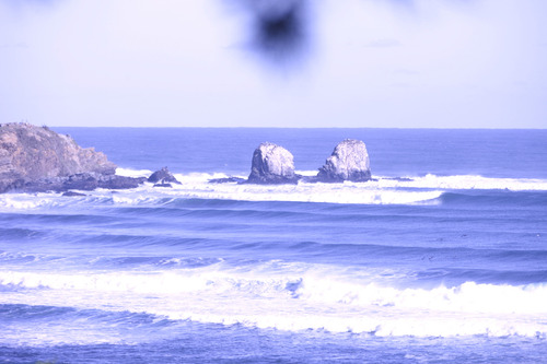 Excelente Ubicación En Punta De Lobos