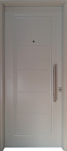 Imagen 1 de 6 de Puerta Doble Chapa Inyectada Exterior 80