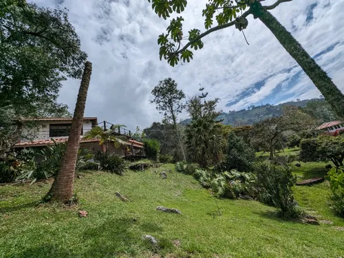 Finca En Venta En Copacabana. Cod V11883