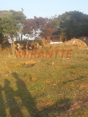 Imagem 11 de 18 de Terreno Em São Vicente - Mairiporã, Sp - 371687