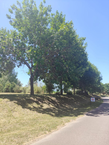 Lote De Terreno De 1200 M2 En Venta En El Club De Campo Los Palenques En Manzanares.