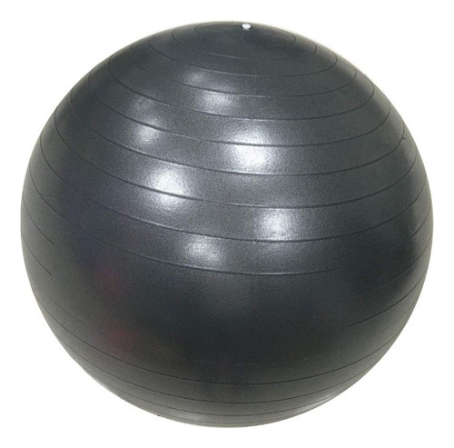 Fitball Pelota Mate Pro Pilates 65cm + Inflador Yoga Terapia
