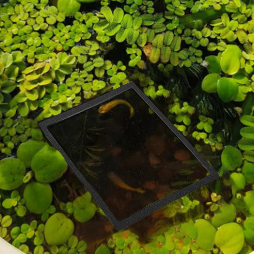 Conjunto De Aros Para Nutrir Peces En Tanques, Negro