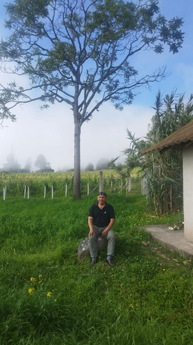 Imagen 7 de 8 de Vendo Finca En Yacudel, Area 21330 M2 Con Casa De Campo