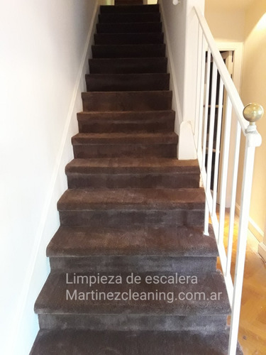 Imagen 6 de 10 de Limpieza De Alfombras Sillones Colchontapizado De Vehiculos