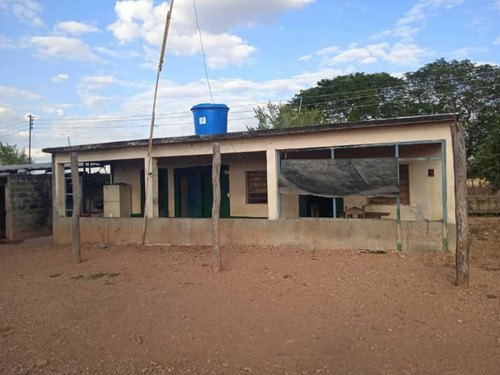 Imagen 7 de 14 de Finca 303 Hectáreas En Guárico, Vía Santa Rita.