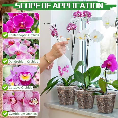 Macetas Transparentes Para Orquídeas Con Agujeros, Juego De