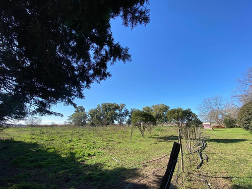 Terreno En Venta - 20.000mts2 - Mechita, Alberti