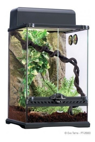 Terrario 45x45x60 Cm Exoterra Geckos Reptiles - Aquarift