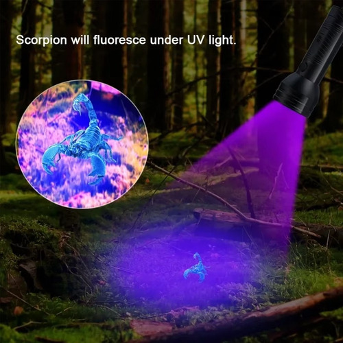 Lámpara De Luz Uv, Mini Linterna De 12 Led, Detector De Rayo