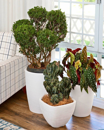 Kit 3 Vaso Polietileno Variados Planta Decoração Jardim Cd40 Cor Ocre
