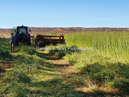 Campo En Venta De 70 Has Ubicado En Tratayen