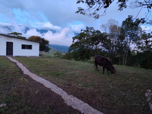 Em. Casa De Campo Vía Casa Padre En Monte Carmelo 19.900$
