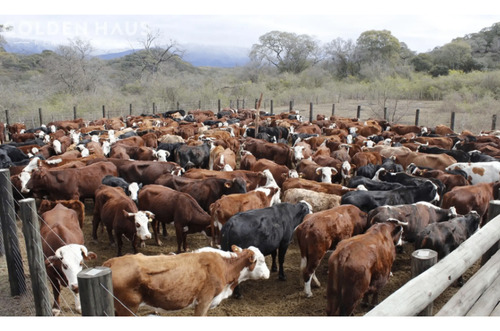 Venta Campo Río Piedras