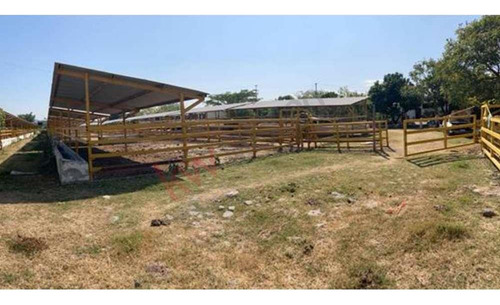 Venta De Increíble Rancho Al Mejor Precio En Tetecala, Morelos,ideal Para Inversionistas Y Ganad...