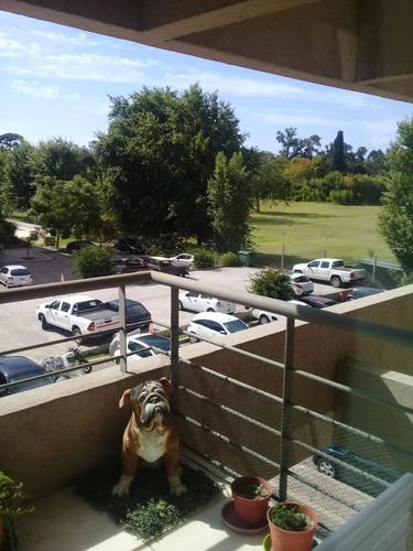 Imagen 13 de 18 de En Venta. Dpto. 3 Amb. Con Cochera - Vista Al Golf