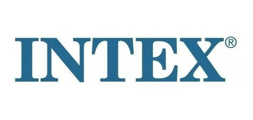 Imagen 8 de 8 de Inflable Para Pileta Intex Perrito