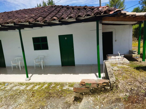 Imagen 18 de 30 de Linda Finca En Venta En La Vereda Betania Del Carmen De Viboral.
