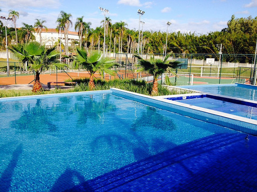 Palmeira De Saia Washingtonia 2 Metros Em Alphaville Jardim