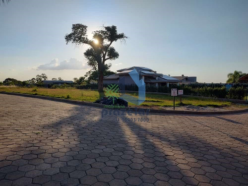 Imagem 3 de 7 de Terreno Em Condomínio Com Ótima Localização