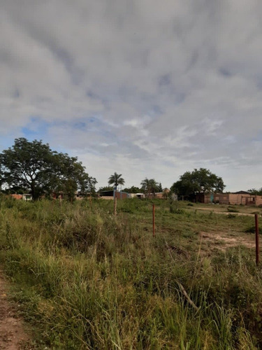 Imagen 5 de 6 de Loteo Fontana, Sobre Av San Martín!