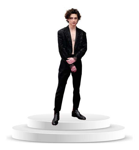 Figura De Timothée Chalamet A Tamaño Real De Coroplast 03