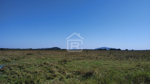 Imagem 10 de 30 de Fazenda Localizada Em Iguape- Sp Com 280 Alqueires - 262 - 71153412