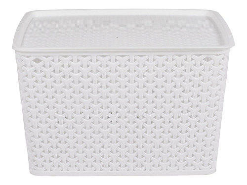 Imagem 5 de 6 de Kit 6 Caixas Organizadoras Rattan Tampa 20l Branca Begônia