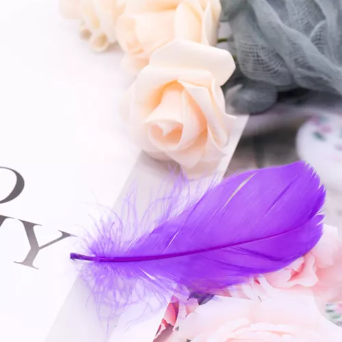 HaiMay 450 plumas rosadas para manualidades, bodas, decoración de fiesta en  el hogar, 3-5 pulgadas, plumas rosadas para manualidades