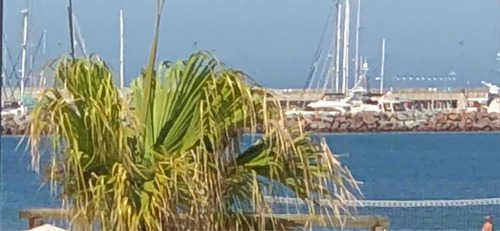 X Día.rambla Frente Al Mar 2 Dor. Wifi.aire.directv. Nuevo