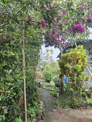 Pequeña Finca Bien Ubicada
