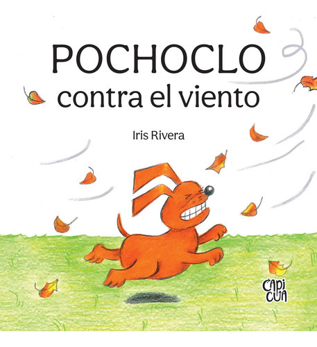 Libro Pochoclo Contra El Viento - Iris Rivera - Capicúa 