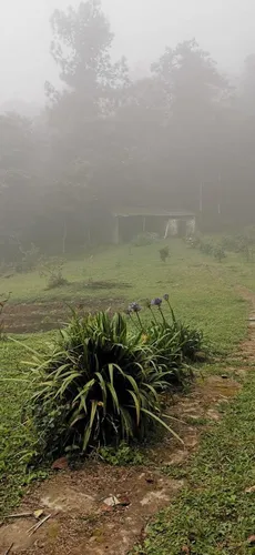 215 Se Vende Hermosa Casa Campestre Ubicada En La Elvira Vereda El Vergel / Cali