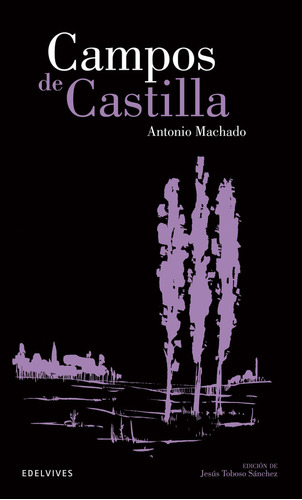 Libro Campos De Castilla