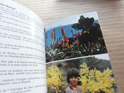 Livro: Portugal Madere - Berlitz Guide De Voyage (Usado)
