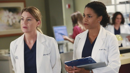 Imagen 9 de 9 de Anatomia De Grey Serie En Español Latino Full Hd