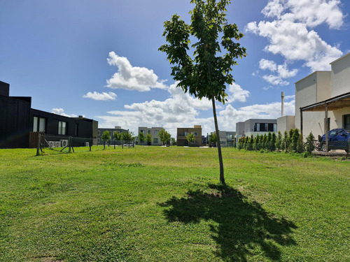 Lote En Venta En Puertos Del Lago - Barrio Araucarias