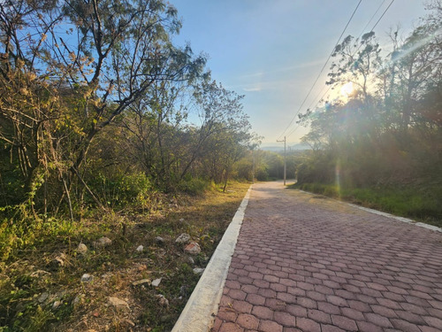 Venta Lote Gladiola 36 En Nueva Zona Del Fraccionamiento Muy Cerca De La Entrada Con Vistas Panorámicas, Poryecto Incluído En Rancho San Diego Ixtapan De La Sal Edomex