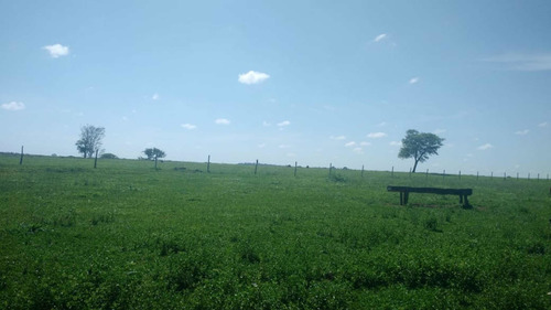 Imagem 5 de 9 de Fazenda Dupla Aptidão Município Campina Verde