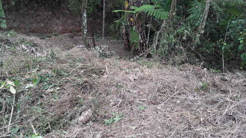 Terreno Paineiras, Lumiar , Nova Friburgo