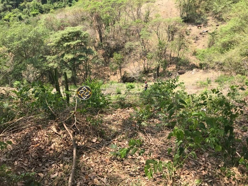 Chácara Á Venda Em Bueno Brandão - Ch00020 - 68676926