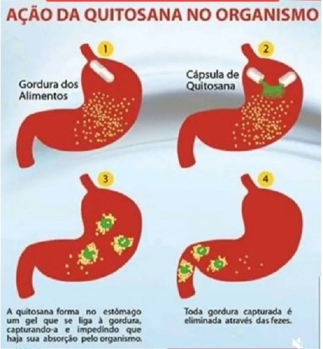 Carbo Fire Digestão Quitosana Psyllium Triptofano E Cromo Sem Sabor