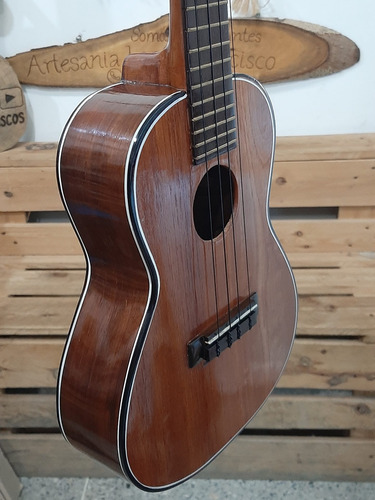 Imagen 6 de 6 de Ukelele De Concierto Profesional Con Su Forro Protector