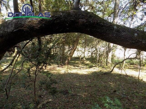 Imagem 7 de 15 de 2 Ha ,800 Mts Do Asfalto. - 845