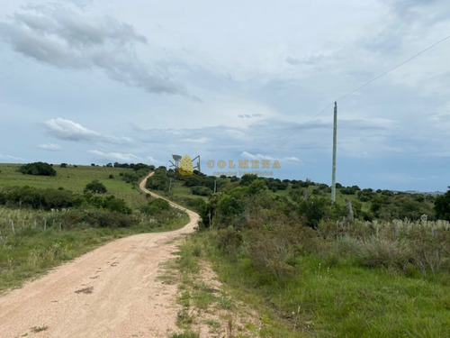 Campo En Garzon - Ideal Para Uso De Descanso - Consulte!!!!- Ref: 3606